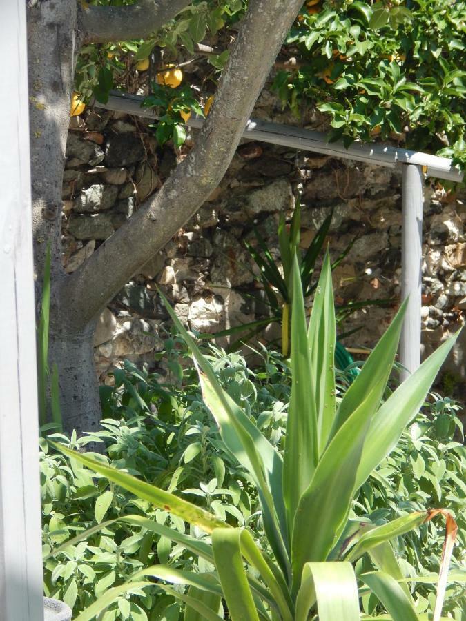 B&B Pie Del Castello Levanto Zewnętrze zdjęcie